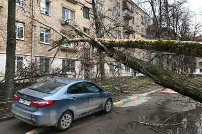 Ураган 1998 года в Москве: каким был один из самых сильных ударов стихии за  всю историю города | О Москве нескучно | Дзен