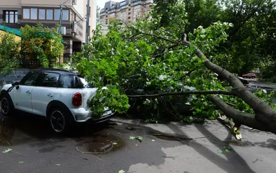 Москвичей предупредили о начале сезона ураганов – Москва 24, 24.05.2023