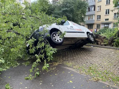 В сети вспомнили обрушившийся на Москву в 1998 году ураган - Мослента