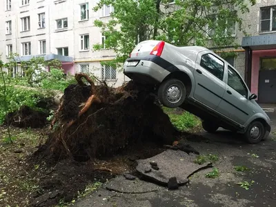 На Москву и Подмосковье надвигается еще один ураган (будьте осторожны) —  Новости — Teletype