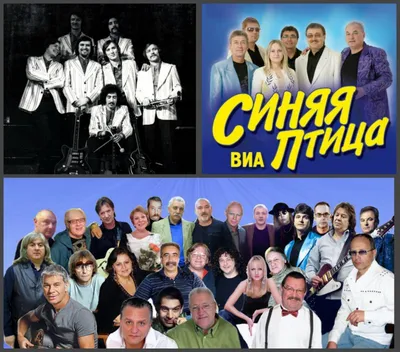 Официальный сайт ВИА «Синяя Птица»