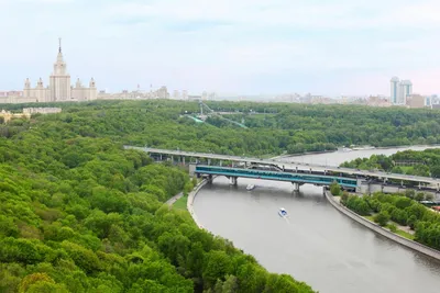 Что посмотреть на Воробьевых горах: самые интересные места - Мослента