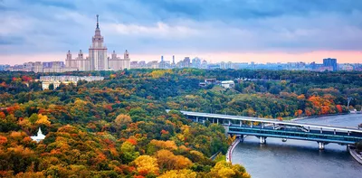 Воробьевы горы 💥: где находятся, что посмотреть, где погулять, фото,  адрес, режим работы и описание — Tripster.ru