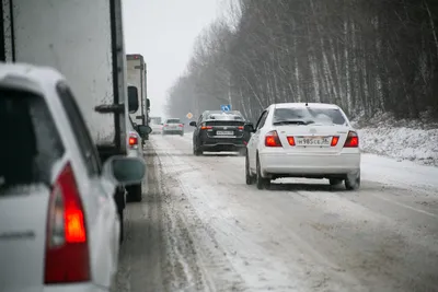 Что будет в Воронеже 15 декабря. День Аввакума. День чая. Штормовое  предупреждение. «Священный бой пером и словом» | Горком36 новости Воронеж