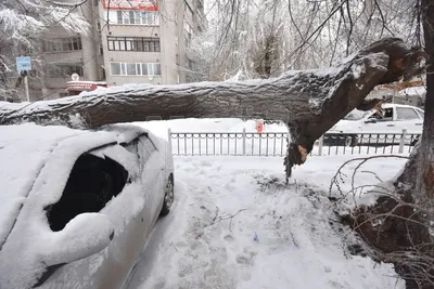 В Воронеже 15 человек эвакуировали из горящей 5-этажки: есть пострадавшая -  Лента новостей Воронежа