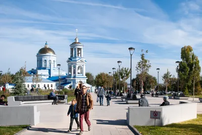 15 деревьев рухнули в Воронеже во время сильного снегопада