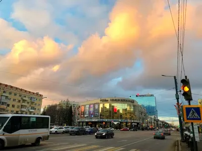 Ночное похолодание ожидается в Воронеже в последние выходные лета