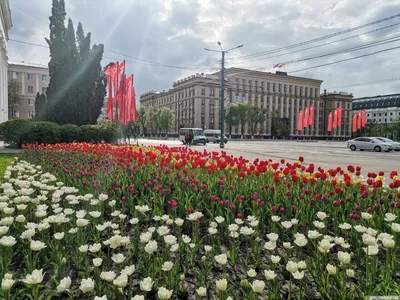 Фото Воронежа весной фото