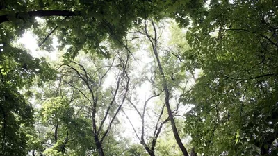 Вид с воздуха в воронеже весной вечер с высоты полета беспилотников  Стоковое Изображение - изображение насчитывающей аграрный, горизонт:  192884219