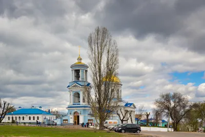 Нежная красота. Какие краснокнижные цветы распускаются весной в Воронежской  области