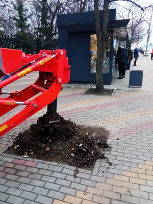 В Воронеже до наступления весны закрылись бесплатные веломойки —  Интернет-канал «TV Губерния»