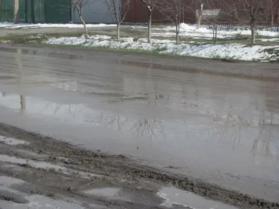 В Ботаническом саду Воронежа прошел «Весенний парад цветов» - Воронежские  новости