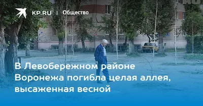Про прогулку по Пятницкого в Воронеже весной 2018 и мои фотохостинги. —  Путевые заметки и фотографии от СерогоШансона