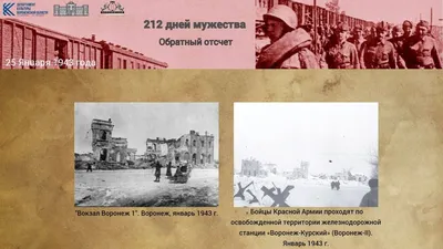 Когда вошли в Воронеж, там были только тропы, руины и все заминировано...\"  | Мой Воронеж с Анной Журавлевой | Дзен