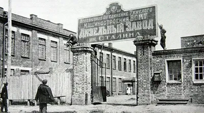 Когда вошли в Воронеж, там были только тропы, руины и все заминировано...\"  | Мой Воронеж с Анной Журавлевой | Дзен