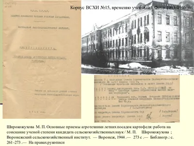 Рукопашная битва». Как девушки и женщины сражались за Воронеж во время войны  – Новости Воронежа и Воронежской области – Вести Воронеж