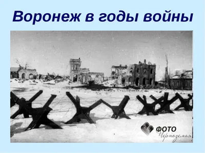 Немецкий великан у ворот Воронежа | Warspot.ru