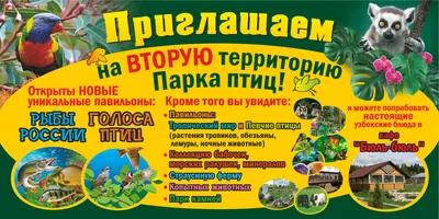 Школьный стенд о России - Удивительный мир птиц - 2,стнды для школы •  Стенды о России • Стенды для школы