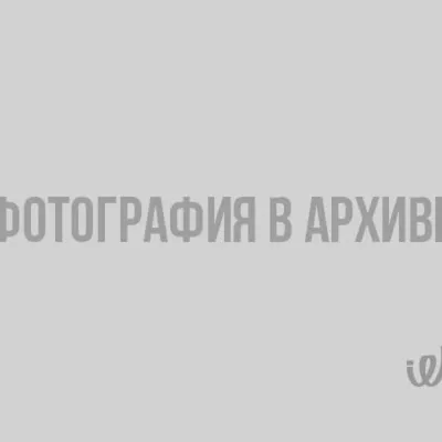 Птица из Индии, которая изо всех сил пытается что-то сделать из цветка в  другой позе Ноги и нижняя часть птицы ясны Стоковое Фото - изображение  насчитывающей низко, имейте: 158643610