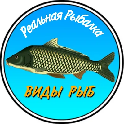 Tetra Pond Variety Sticks 1 л . (банка) смесь из 3 видов кормов, для всех  рыб — Интернет-магазин — АкваЛайн