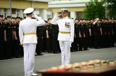 МГУ им. адм. Г.И. Невельского