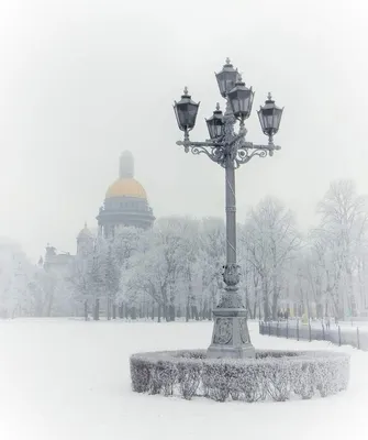 Зимний Санкт-Петербург, Сенатская площадь... | Санкт петербург, Зима