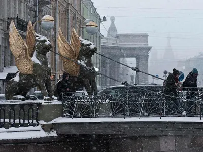 Что посмотреть и куда сходить в Петербурге зимой. Город за один день.