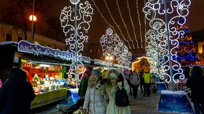 Синий мост, Санкт-Петербург, Зима» картина Александровского Александра  маслом на холсте — заказать на ArtNow.ru