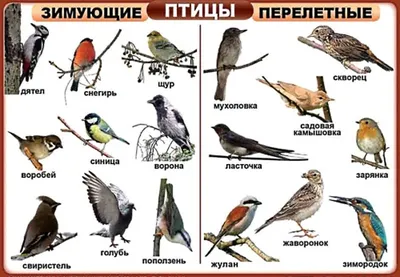 Межпоселенческая централизованная библиотечная система | Новости