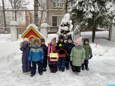 Птицы города Новосибирска и Академгородка