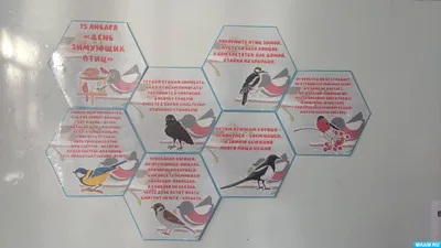 Юные лесничие Арсеньева – победители Всероссийских зимних соревнований по  спортивной орнитологии «Птицы России» | 14.03.2023 | Арсеньев - БезФормата