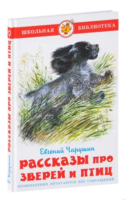 Рассказы про птиц и зверей Евгений Чарушин - купить книгу Рассказы про птиц  и зверей в Минске — Издательство Самовар на OZ.by