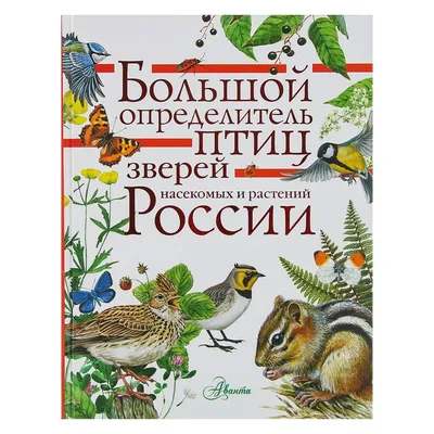 Книга Большой определитель зверей, амфибий, рептилий, птиц, насекомых и  растений - купить детской энциклопедии в интернет-магазинах, цены на  Мегамаркет | 3258247