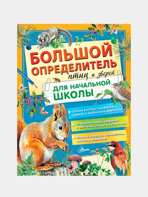 Вера Чаплина: Рассказы про птиц и зверей - купить в интернет магазине,  продажа с доставкой - Днепр, Киев, Украина - Книги для детей 0 - 2 лет