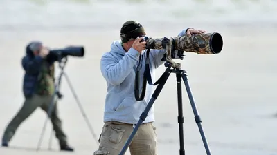 Best kit for wildlife photography - Amateur Photographer