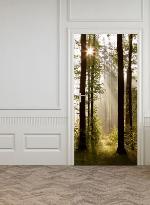 Фотообои на двери HARMONY Decor HDD-069 Утро в лесу, 97 х 202 см,  самоклеющиеся - купить по выгодной цене в интернет-магазине OZON (860557983)
