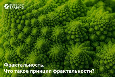 Темные фрактальные обои от Кристин Шилц, фрактальная картина, фрактал,  фракталы фон картинки и Фото для бесплатной загрузки