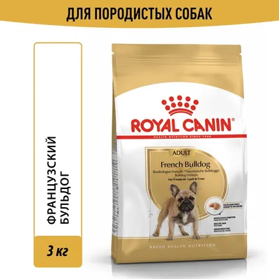 Французский бульдог: фото, окрасы, вес | Royal Canin