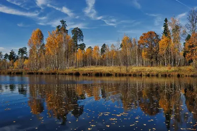 Город Фрязино | Московские Зарисовки - Фотографии и памятники