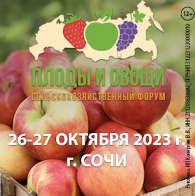 Цены На Продукты В Сочи: последние новости на сегодня, самые свежие  сведения | sochi1.ru - новости Сочи