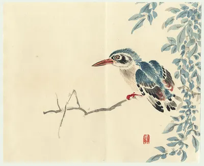 Fuji Arts Japanese Prints - Bluebird by Watanabe Kazan (1793 - 1841)