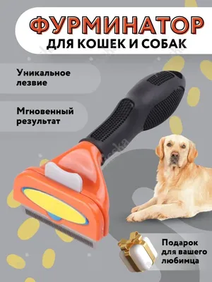 FURminator S Small Dog Short Hair / Фурминатор для собак Мелких пород с  Короткой шерстью 1 шт купить в Москве по низкой цене 2 890₽ |  интернет-магазин ZooMag.ru