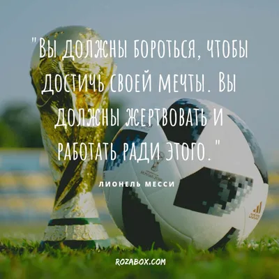 Василий Стус - жизнь, творчество и лучшие цитаты несгибаемого поэта - 24  канал - Учеба