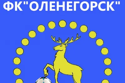 Отчет о рыбалке: река Куреньга — муниципальный округ Оленегорск —  Северо-Западный федеральный округ, Мурманская область — № 46369 —  fishing-report.ru