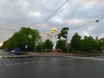 Панорамный вид города Пушкина