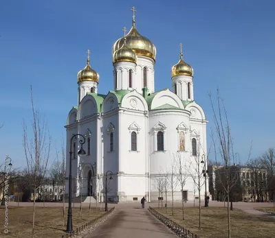 Пушкин (София) (Санкт-Петербург, Пушкинский район). Церковь Сергия  Радонежского в Царском Селе, фотография. фасады