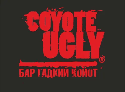 Ночной клуб Гадкий Койот (Coyote Ugly) в переулке Столешников (м.  Чеховская): меню и цены, отзывы, адрес и фото - официальная страница на  сайте - ТоМесто Москва