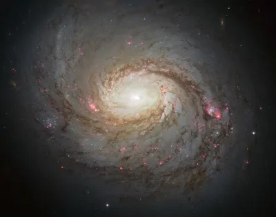 What is a galaxy? | Live Science