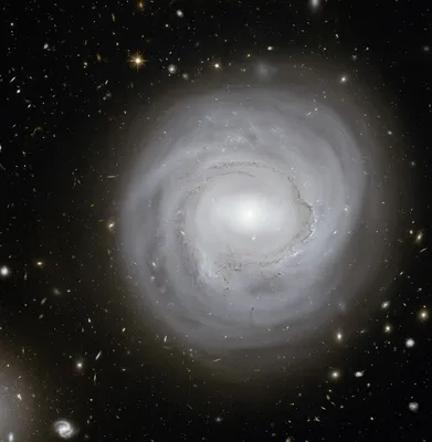 Галактика NGC 1559