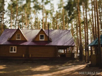 Галдым\" база отдыха в п. Голдымское Лесничество (Тамбов), г. Тамбов,п.  Голдымское лесничество, квартал 7 - цены, отзывы, фото, карта - официальный  сайт